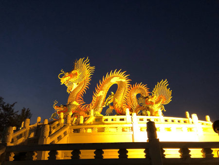 Gold dragon in the night skyの素材