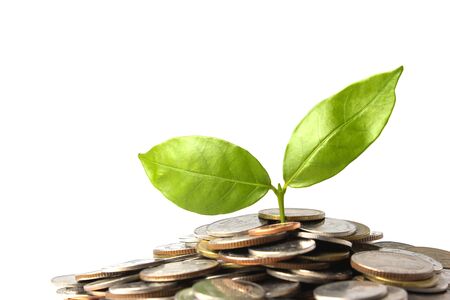 Pile of coins and small tree growing from saving. Investment concept.の写真素材