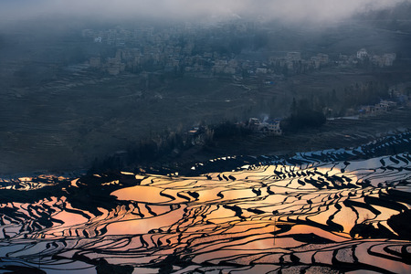 Colorful rice terraceの写真素材