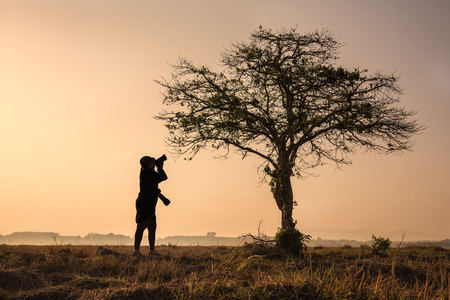 Silhouette morning sunrise with photography and dead treeの写真素材
