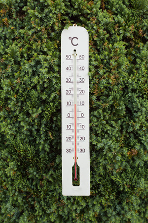 Thermometer on green tree shows low temperaturesの写真素材