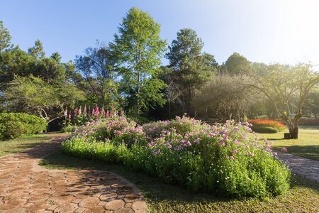 Beautiful garden decorationの写真素材