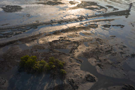 Drone image looking down on the edge of the mangrove tree in lake