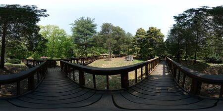 360 degrees spherical panorama of spring nature in forest.の写真素材