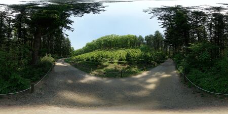 360 degrees spherical panorama of spring nature in forest.の写真素材
