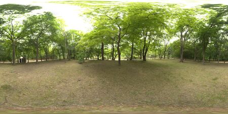 360 degrees panorama garden view.