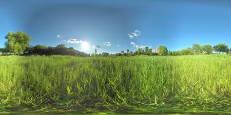 Panorama 360 degrees view in park. Forest and Park 360 image, VR AR content.の写真素材