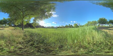 Panorama 360 degrees view in park. Forest and Park 360 image, VR AR content.