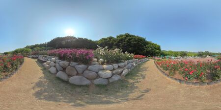 Panorama 360 degrees view in park. Forest and Park 360 image, VR AR content.の写真素材