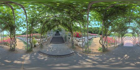 Panorama 360 degrees view in park. Forest and Park 360 image, VR AR content.
