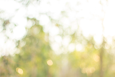 Blurred green and orange background ,bokehの写真素材
