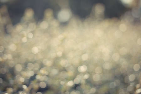 Blurred green and orange background ,bokehの写真素材