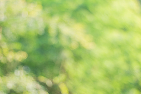 Blurred image of soft green bokeh background.の写真素材