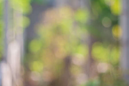Blurred image of soft green bokeh background.の写真素材
