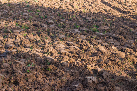 Soil from using a tiller, soil preparation for farmingの写真素材