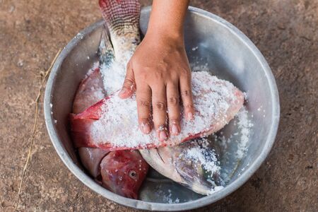 Put salt on the fish by hand. Before to grill.の写真素材