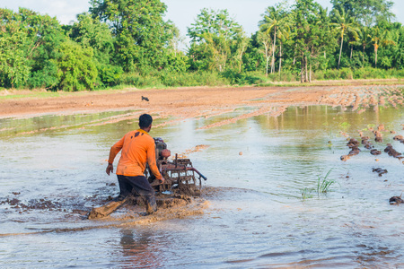Farmers are adjusting the field's ground using a plowing tractor to prepare the crop.の写真素材