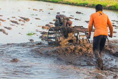 Farmers are adjusting the field's ground using a plowing tractor to prepare the crop.の写真素材