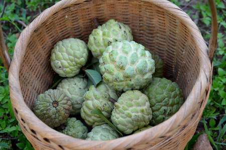 Thai fruit