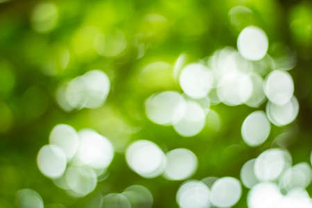 ?b?okehの写真素材