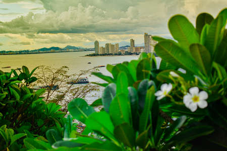 Scenery of pattaya city