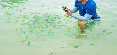Tiger fish in tropical sea at Krabi Thailand,Feeding fish ,Andamanの写真素材