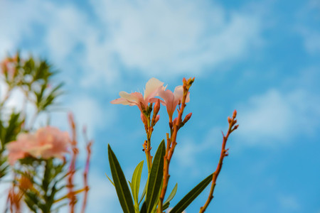 Im very happyの写真素材