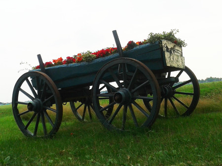 Antique cart with colorful flowers on green grass field backgroundの写真素材