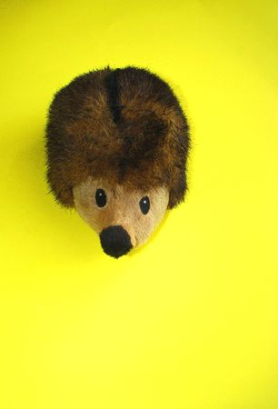 Fuzzy Dog Toyの写真素材