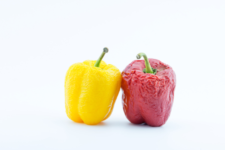 withered pepper shrivel isolated on whiteの写真素材