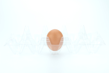 Single brown chicken egg isolated on white.の写真素材
