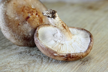 Shitake Mushrooms on the Wooden Tableの写真素材