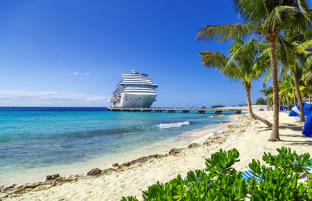 Cruise ship docked at tropical port on sunny dayの写真素材