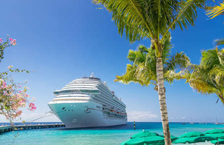 Cruise ship docked at tropical port on sunny dayの写真素材