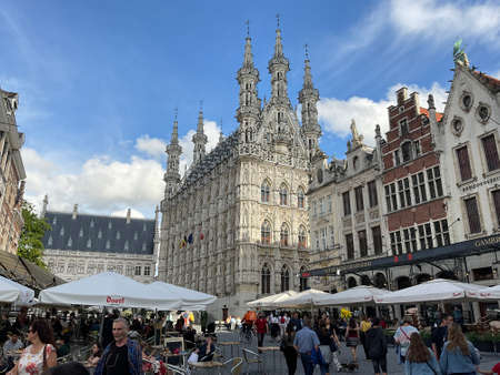 To visit the city of Leuven is the capital of the Flemish province of Brabant. Itâs amazing place and so beautiful and propre.のeditorial素材