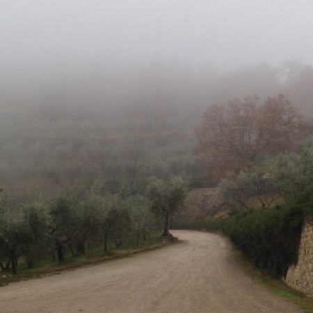 Misty afternoonの素材