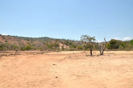 Komodo National Parkの写真素材