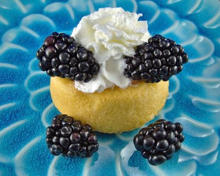 tasty looking shortcake with fresh fruitの写真素材