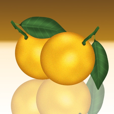 ripe and juicy looking oranges with stem and leavesのイラスト素材