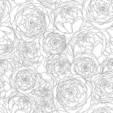 Seamless background pattern with peony flowers. Vector hand drawn illustration. Graphic hand drawn floral pattern. Textile fabric design.のイラスト素材