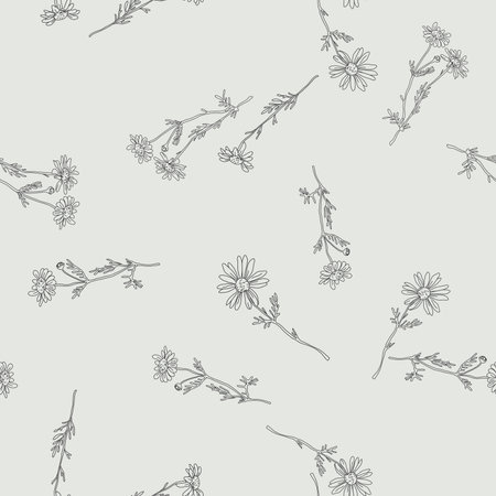 vector seamless pattern with drawing daisy flower, floral background, hand drawn botanical illustrationのイラスト素材