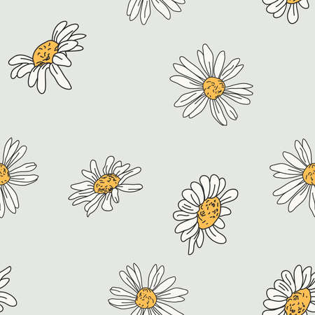 vector seamless pattern with drawing daisy flower, floral background, hand drawn botanical illustrationのイラスト素材