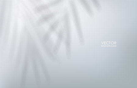 Vector shadow effect background. Tropical leaves minimalistic backdrop for your design.のイラスト素材