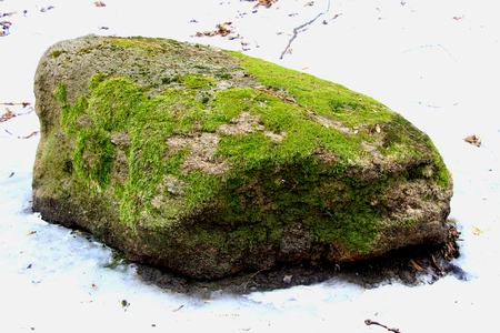 Large rocks in the Park. Winter in the land of snow.In the snow standing stones.They are covered with green moss. These stones are in the Park and perfectly complement the landscape.の写真素材