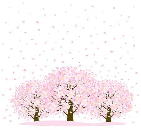 Cherry trees and petalのイラスト素材