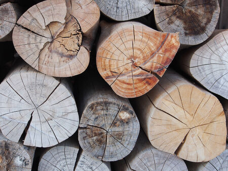 Pile of wood logs, Fire wood stock for background use