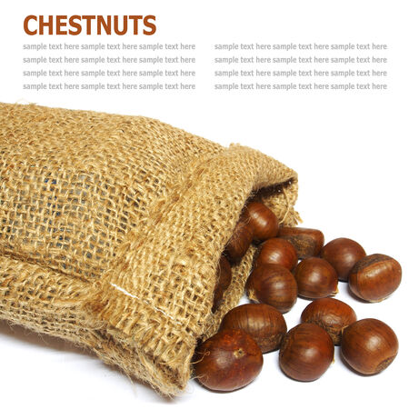 Fresh Chestnuts in yute isolated on whiteの写真素材