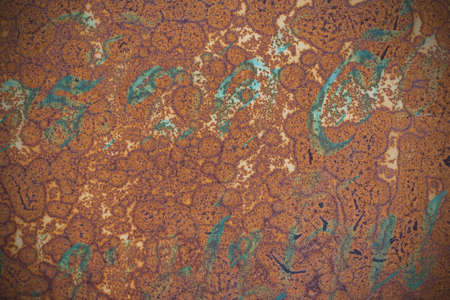 Texture of rusty iron. Background and texture of rusty on iron