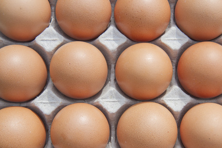 eggs isolated on white backgroundの写真素材