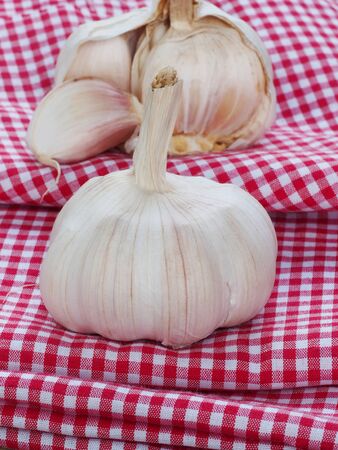 fresh garlic on a red and white napkin backgroundの写真素材